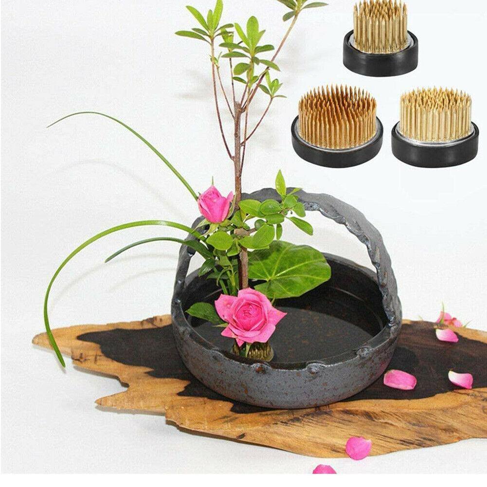 Redondo ikebana flor sapo com  - Ikebana Vase Kenzan avaliação e preço